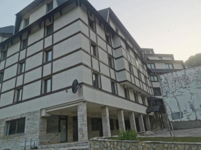 Apartmani Nedeljkovic Brzece Kopaonik Brzeće